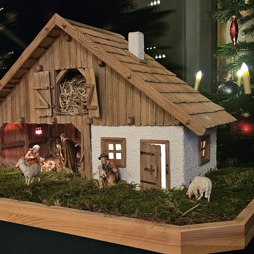 WhatsApp Image 2025-12-27 at 09.56.22