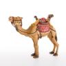 Kamel - lepi -24024-A_C