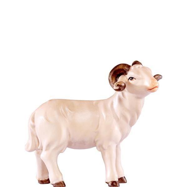 Widder Artis - Color-Bemalt-jpeg