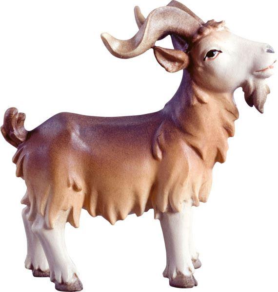 Ziegenbock 4573