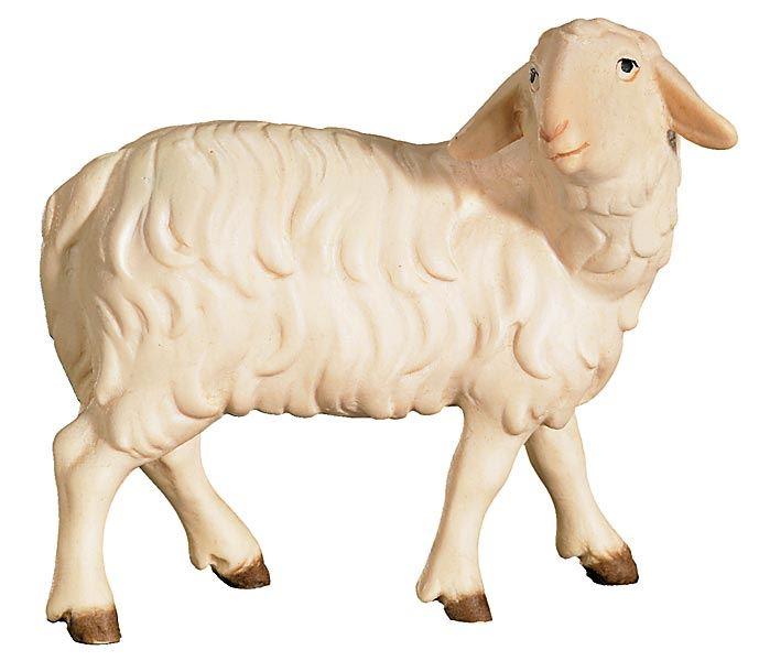 O-Schaf zurückschauend-426436