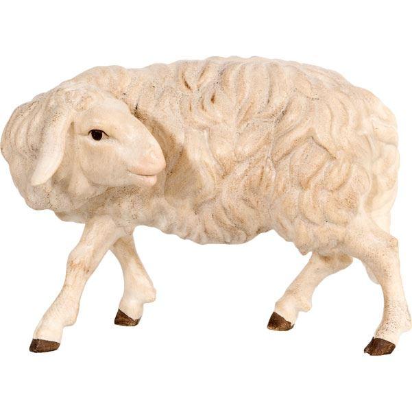 Schaf zurückschauend 4135-RI
