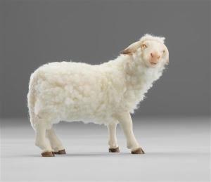 Schaf zurückschauend W3610G-H