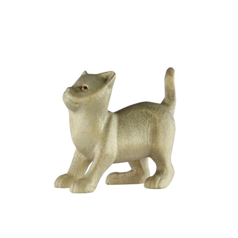 Katze der Rowi Krippe in Color
