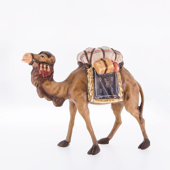 Kamel - Camel-24020-Lepi