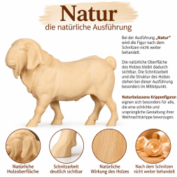 Oberflächenausführung Naturbelassen-Unbemalt