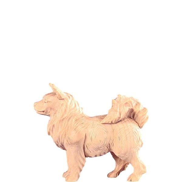 Spitzhund R.K. - Natur-Zirbenholz-