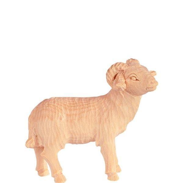 Widder R.K. -Natur-Zirbenholz-jpeg