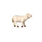 Schaf stehend vorwärtsschauend 795260-Pe