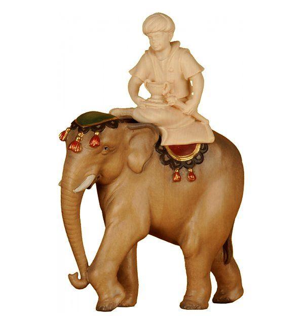 Elefant (ohne Elefantentreiber)_2610008_color