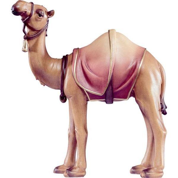 Kamel 4595