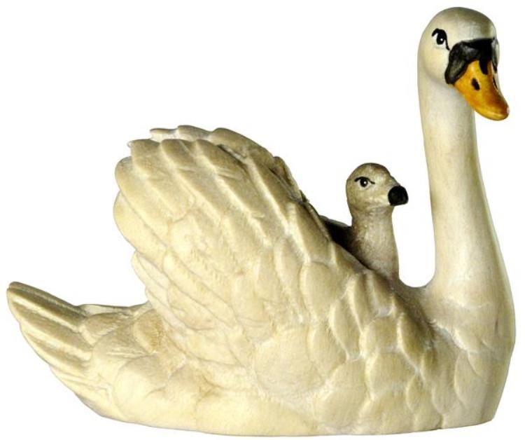 Schwan mit Junge auf Rücken -color-