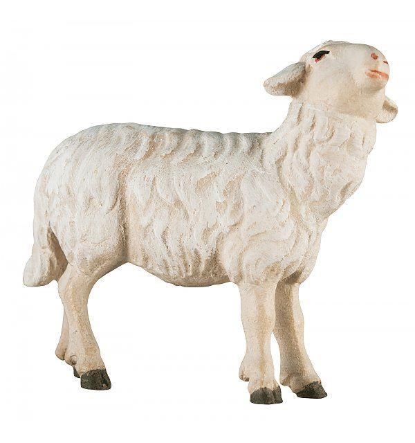 Schaf zu Fütterer links 2461-S