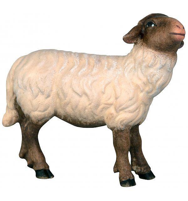 schwarzes Schaf mit weißem Fell 24612-S