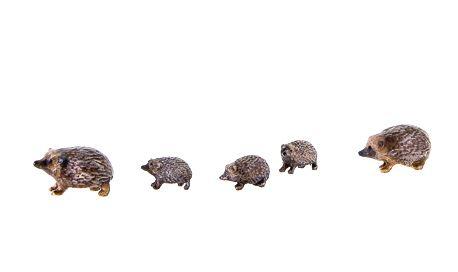 Igel Familie