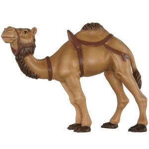 Kamel  13160-A