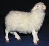 Schaf mit Wolle stehend - W3610S