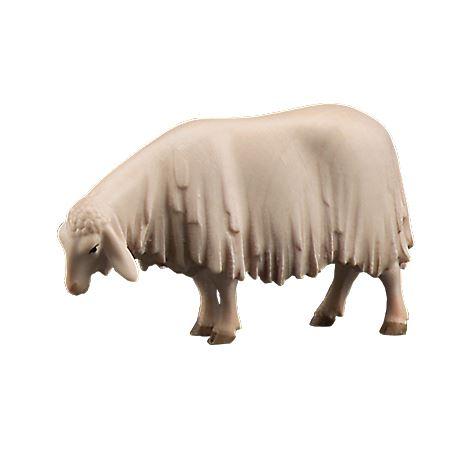 Schnupperndes Schaf von Lepi