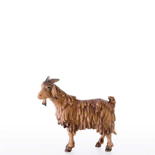 Ziege-color-1000039-0120-040_1920x1920