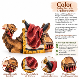 Farbig bemalte Kamelfigur mit Detailinfografik