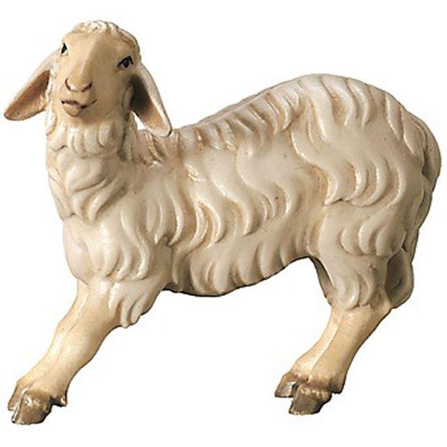 Schaf sträubend - Königliche Krippe
