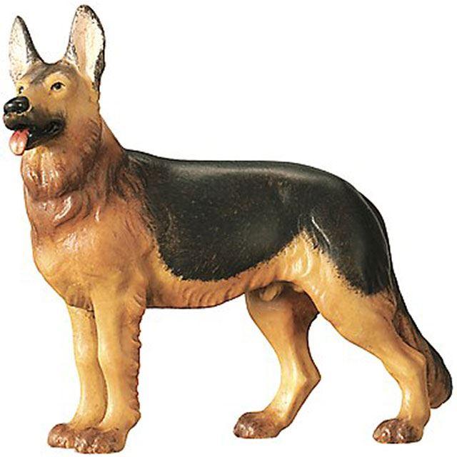 Schäferhund - Color-Bemalt-TBK_KÖ