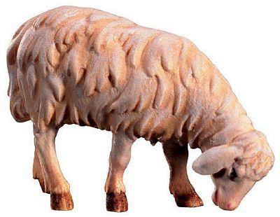 Schaf äsend -  Nazareth Krippe