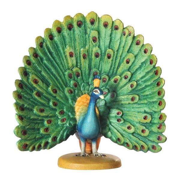 Pfau - Federn offen- Color - Bemalt-