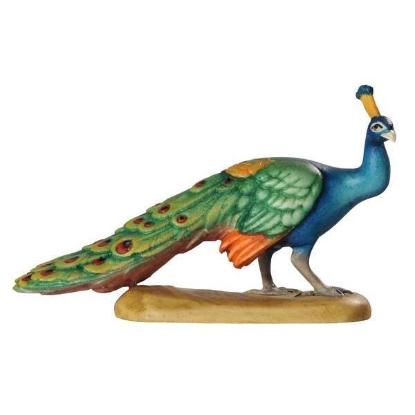 Pfau- Color-Bemalt-B