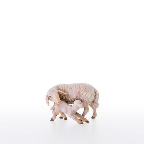 Schaf mit Lamm - 21200-A_C