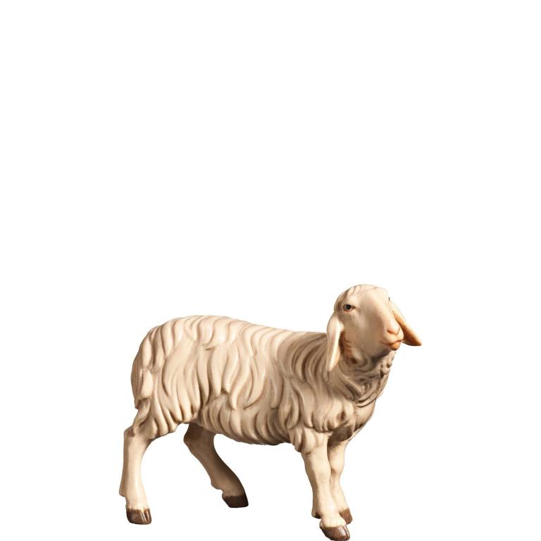 Schaf rechtsschauend- Color Fill-425481_4