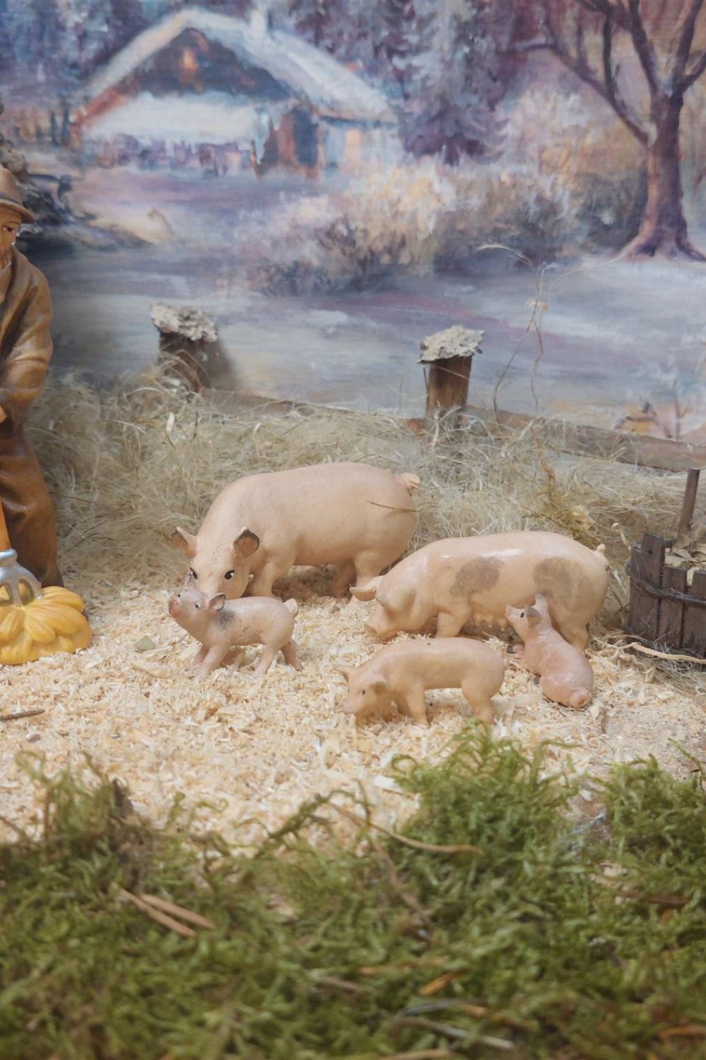 Schweinefütterung-3