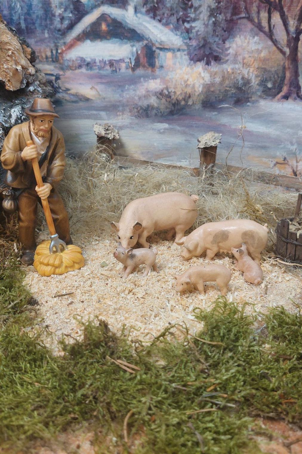 Schweinefütterung-7